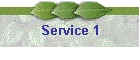 Service 1