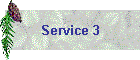 Service 3